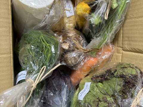 自然栽培野菜Mセット7～9種類