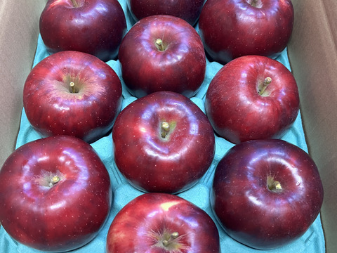 訳あり 紅玉 3キロ箱 8～12玉 長野県産