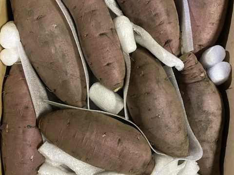 しっとり甘〜い！大山育ち熟成紅はるか3キロ