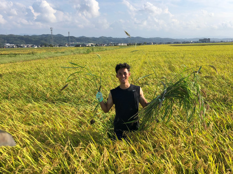 令和5年産石川県産特別栽培米コシヒカリ希夢良米　白米10キロ