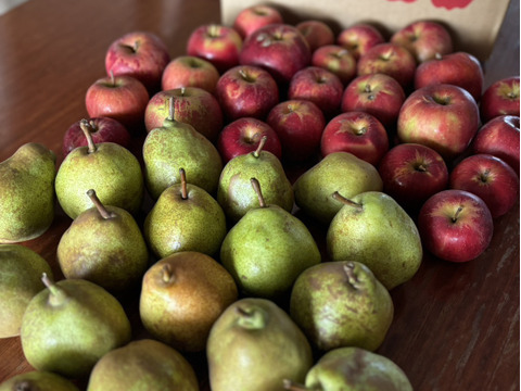 在庫わずか！紅玉ラフランス2種盛！お試しラフランス3キロ＋訳あり紅玉3キロ　合計6キロ以上。　農薬半減栽培で安心安全