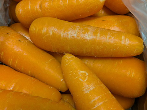 大小サイズ混合　農薬不使用栽培人参5kg　岡山県産