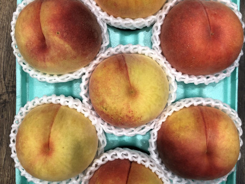 桃黄金桃7玉　A級