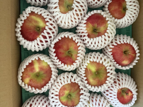 🍎幻の夏りんご🍎夏あかり 3キロ箱 小玉品種〜18玉 商品ID40928 長野県 信州 安曇野 リンゴ 幻 幻のリンゴ 予約 希少 旬