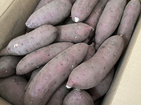 【訳あり品】⭐︎10k⭐︎熟成！蜜たっぷり紅はるか♪さつまいも⭐︎限定セール中！