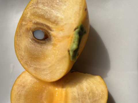 自然な甘み！甘柿2Kg。歯応え色々(家庭用)