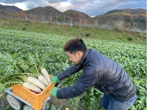 【京都府産】旬のこだわり野菜セット　Sサイズ（５品）