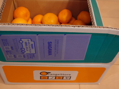 【年明け発送】【食べチョクで１番売れてるみかんです！】夕やけみかん（5㎏）（圧倒的人気のみかんです！）