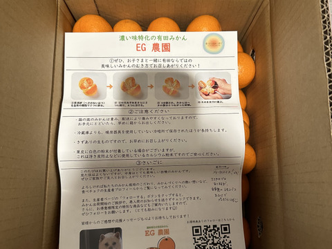 【前回即完売】糖度最高クラス！濃い味好きのための有田みかん 5キロ箱 和歌山県 有田 みかん 2S~3Lサイズ　家庭用キズあり