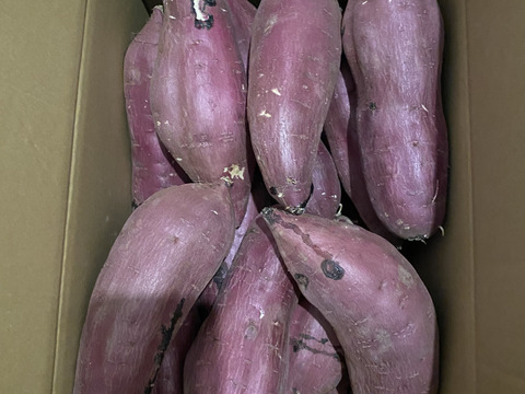 【BIGサイズ】熟成べにはるか　2L・3Lサイズ　10kg