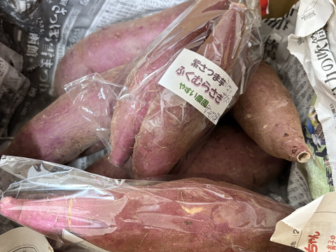 最終です😊　とっても甘い紫芋　ふくむらさき1kg