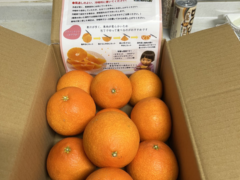 まるでゼリー⁉まどんな(贈答用3kg)