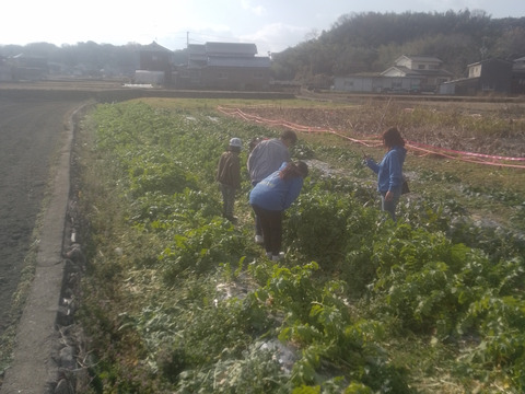 【新じゃが】農薬・化学肥料不使用！
山の赤土で育った赤じゃが「デストロイヤー」3キロ。