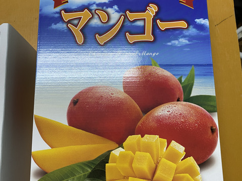 ★数量限定★沖縄県産マンゴー　2kg（3~6玉）！