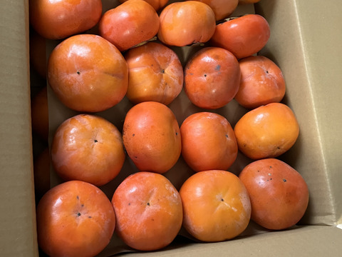 旬最後の味　訳あり富有柿　7.5kg　（30〜35個入）