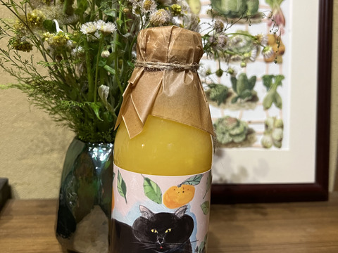 【農薬不使用】ネーブルオレンジストレートジュース&青島みかんストレートジュースセット