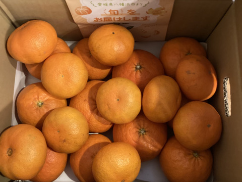 《豊作割引》【家庭用】甘平 5kg ギッシリ果肉のシャキシャキ食感♡愛媛限定高級柑橘♫愛媛みかん！！