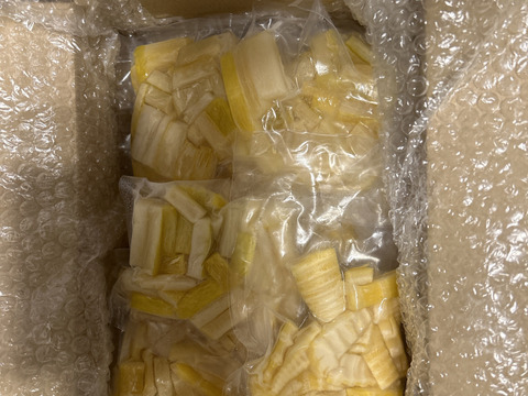 新物1kg！カット済！新鮮朝採れ！釜茹でを冷凍便で『たけのこ(メンマ)水煮』100g×10p