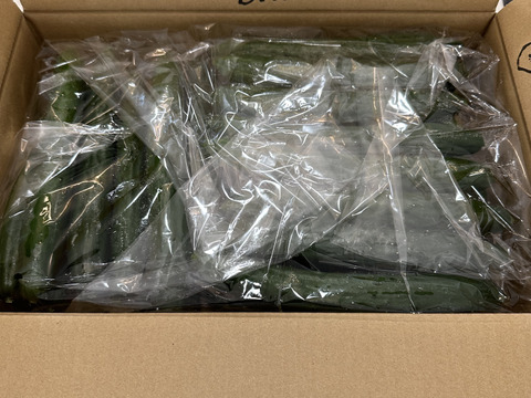 【きゅうり】南国宮崎のてげうまきゅうり（5ｋｇ）