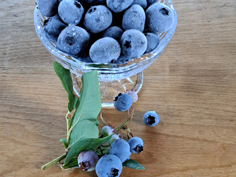 そのまま食べれる　シャリシャリ・
夏のビタミンブルーベリーMIX　冷凍　2キロセット