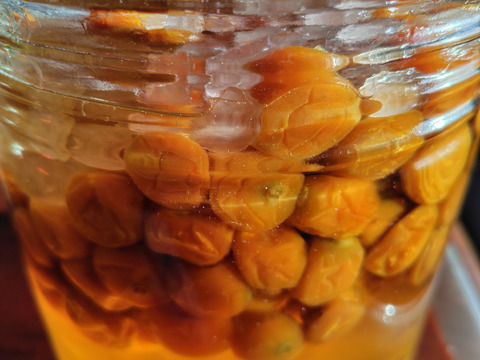 甘さと豊潤な香りそのまま！冷凍ほおずき２キロ　農薬・化学肥料不使用栽培。半解凍でそのまま食べても、冷凍状態のままジャム、シロップ、果実酒に加工しても超絶美味。他の果実にはない美味しさと栄養価たっぷり。