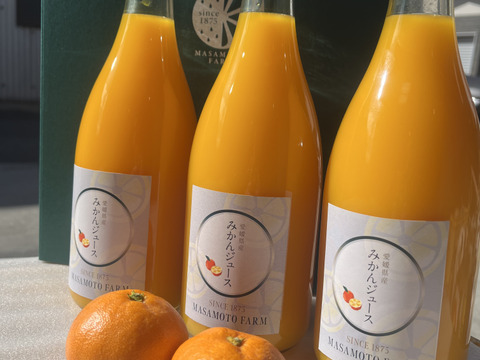 温州みかんジュース3本セット