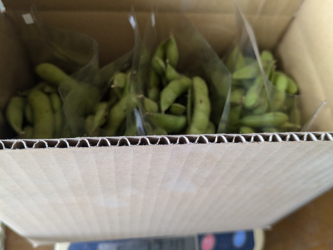 濃厚美味　オーガニック枝豆 300g×4パック 1.2kg入