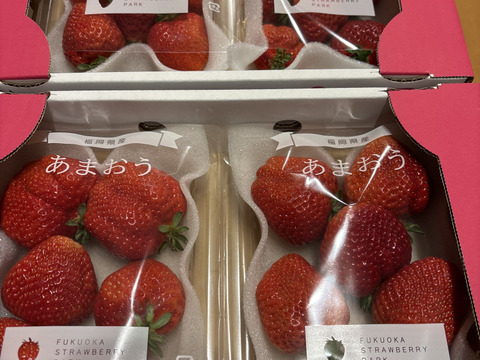 【いちごの王様！ あまおう苺 サイズ色々で270ｇ×4パック！