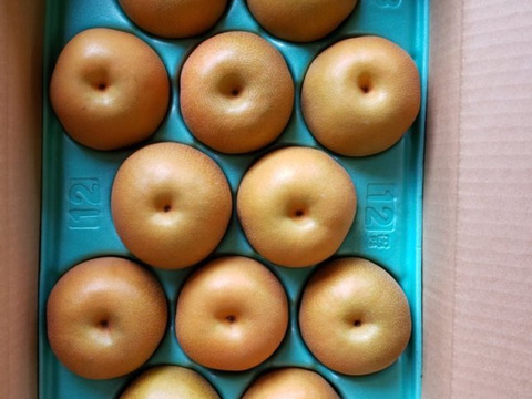 贈答品】梨 豊水 秀品 5Kg箱 12玉~14玉 _2024：千葉県産の豊水｜食べ