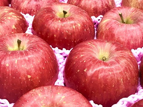 【11月上旬以降発送】特秀品りんご　約3kg（９〜12玉程度）