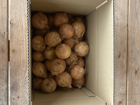 農薬・化学肥料不使用　玉ねぎ　箱込　５ｋｇ