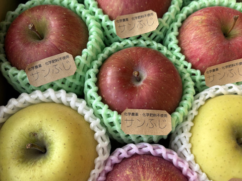 ☆農薬不使用りんご☆と特別栽培りんご(品種おまかせ)詰め合わせ3キロ（８〜１２玉）