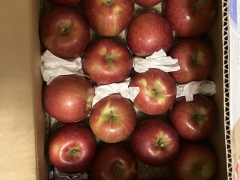 シナノスイート　家庭用　小玉　3キロ箱（3.2キロほど入ります）【JA基準より60％減の低農薬栽培】葉とらずりんご