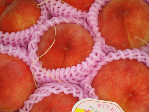 あかつき桃【夏ギフト】　信州からの進物好適品　ご好評販売中　　2.8キロ　9個から10個入り