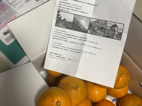 せとうちの島育ち！ えひめ中島いよかん 5kg