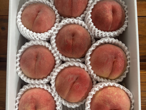 【もも】🍑玉うさぎ 3キロ🍑【かわいい名前】【🐇】【ほどよく固く口当たりまろやか】