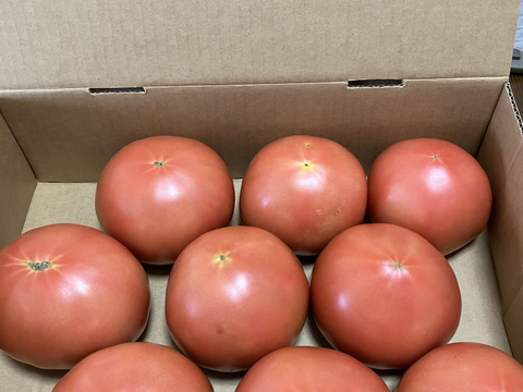 (Sｾｯﾄ）夏の贅沢！清涼感あふれる王道トマト2kg