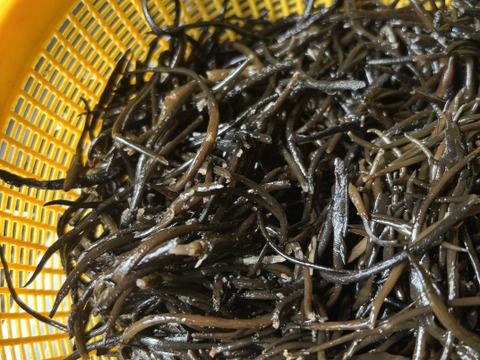 【訳あり】おじいさん漁師の鉄釜乾燥ひじき