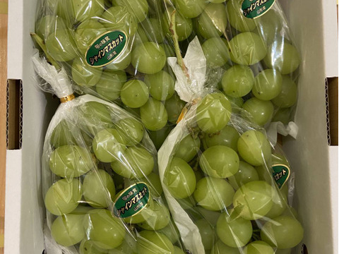 シャインマスカット　4房入り2ｋｇ