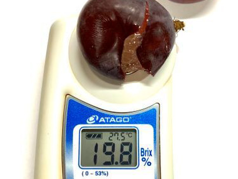 【今が旬！】岡山県産　ピオーネ　粒パック　700ｇ×4p 2.8㎏以上
