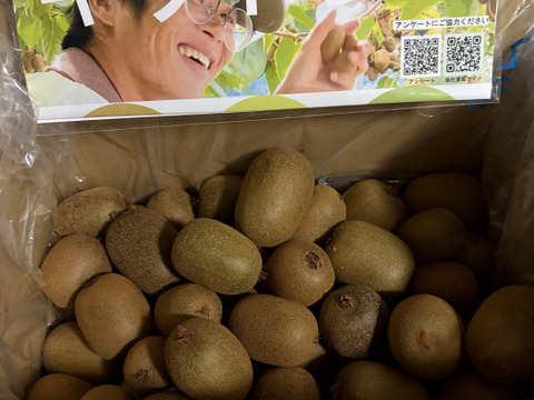 幻の一口キウイ！『さぬきキウイっこ®』訳あり・ご家庭用・2kg（30～40個）