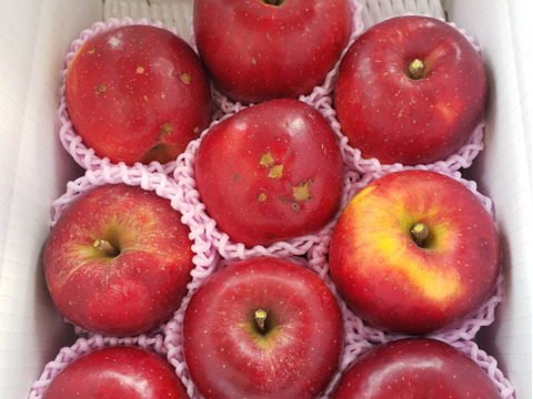 まるせい果樹園のべにこはく　3㌔　訳あり　自家用　家庭用　商品ＩＤ　Ｅ16