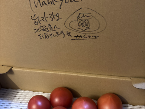 【すぐに出荷】【旨トマト3kg】お買い得☆ジューシーで旨味あるトマト！サラダやパスタにも！（２０～４５玉）