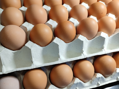 純国産鶏あずさの平飼い卵80個