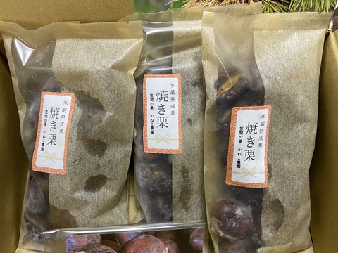 【冬ギフト】氷蔵熟成栗のほっこり焼き栗（3パック）