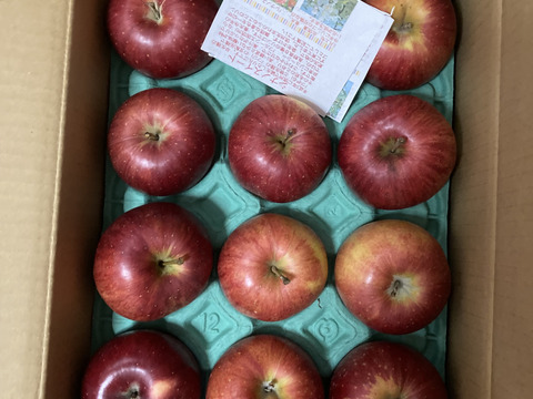 「シナノスイート」お徳用訳あり　 訳あり家庭用3キロ　まだまだ美味しいスマートフレッシュ鮮度保持貯蔵 10個から12個入り　甘くてジューシー　　ご好評販売中