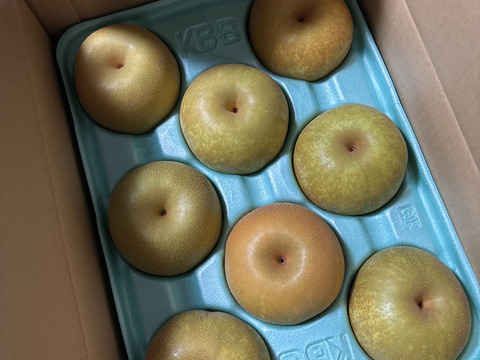 梨 幸水 良品3kg‼️長野県産：長野県産の幸水｜食べチョク｜産地直送