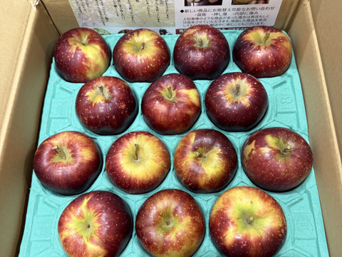 【家庭用】秋映  約4.5kg 12-25玉 シャキッと歯ごたえ！ 信州りんご【9月下旬頃～】#NAA0B045