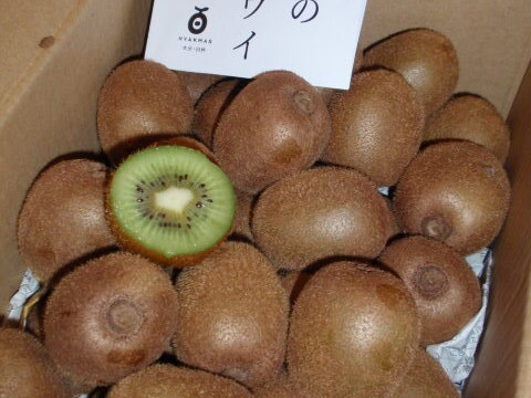 有機JAS認証！皮ごとガブっと！追熟済み！ 小さめの自然栽培キウイフルーツ 2kg
