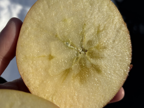 訳あり 大玉サンふじと小～中玉 ぐんま名月 5キロ箱  長野県産